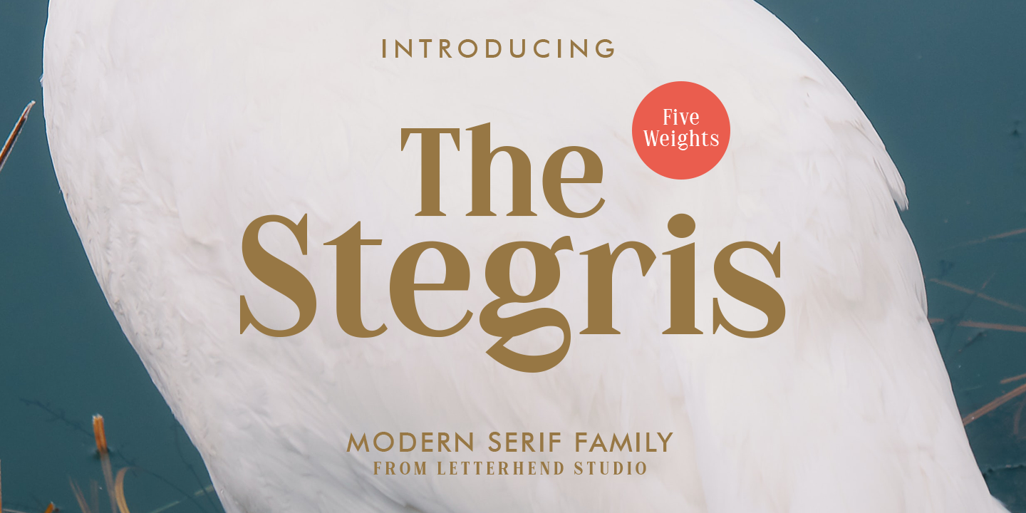 Przykład czcionki The Stegris
